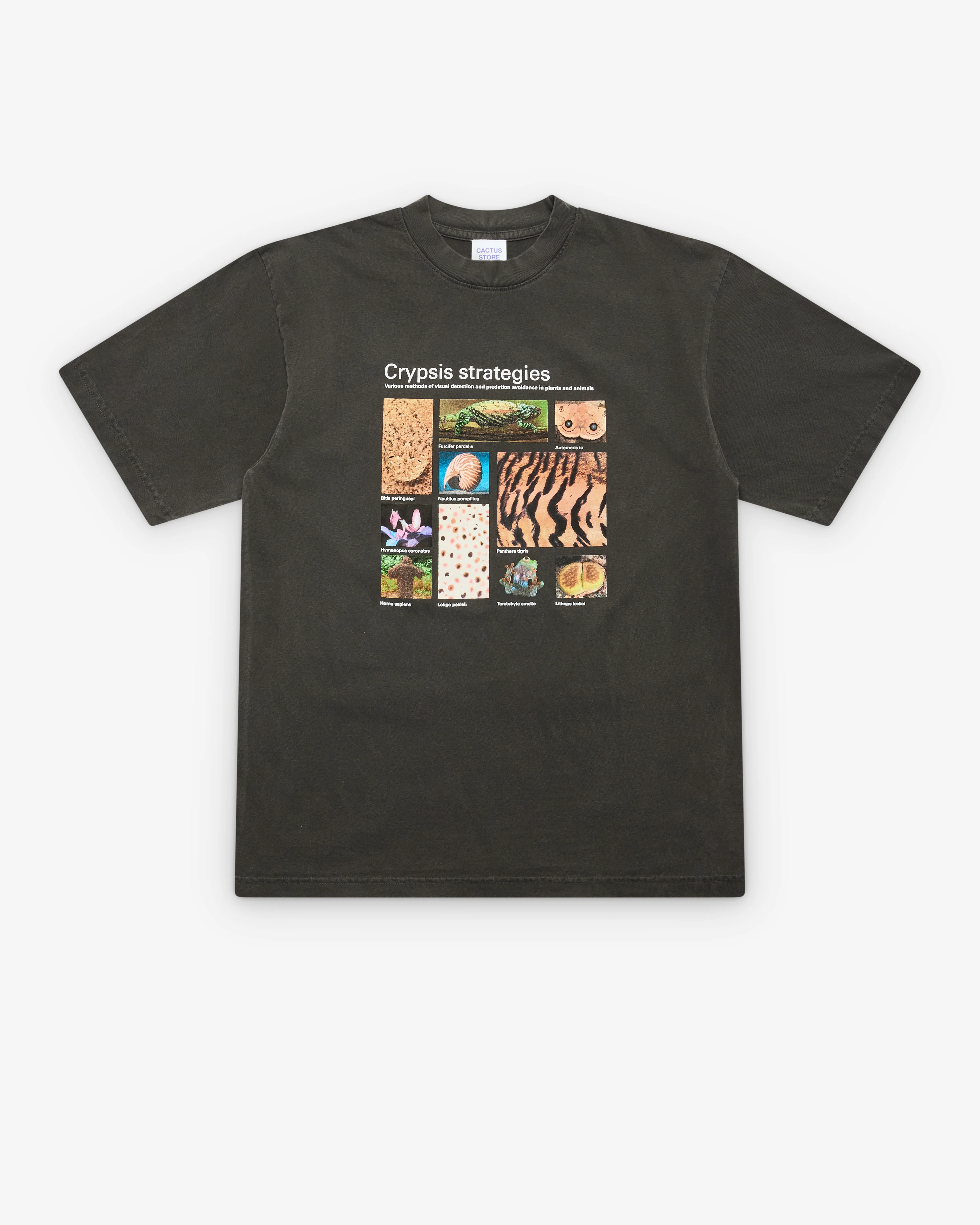 Cactus Store - Men's Taxa 20: Crypsis T-Shirt - (Washed Black)