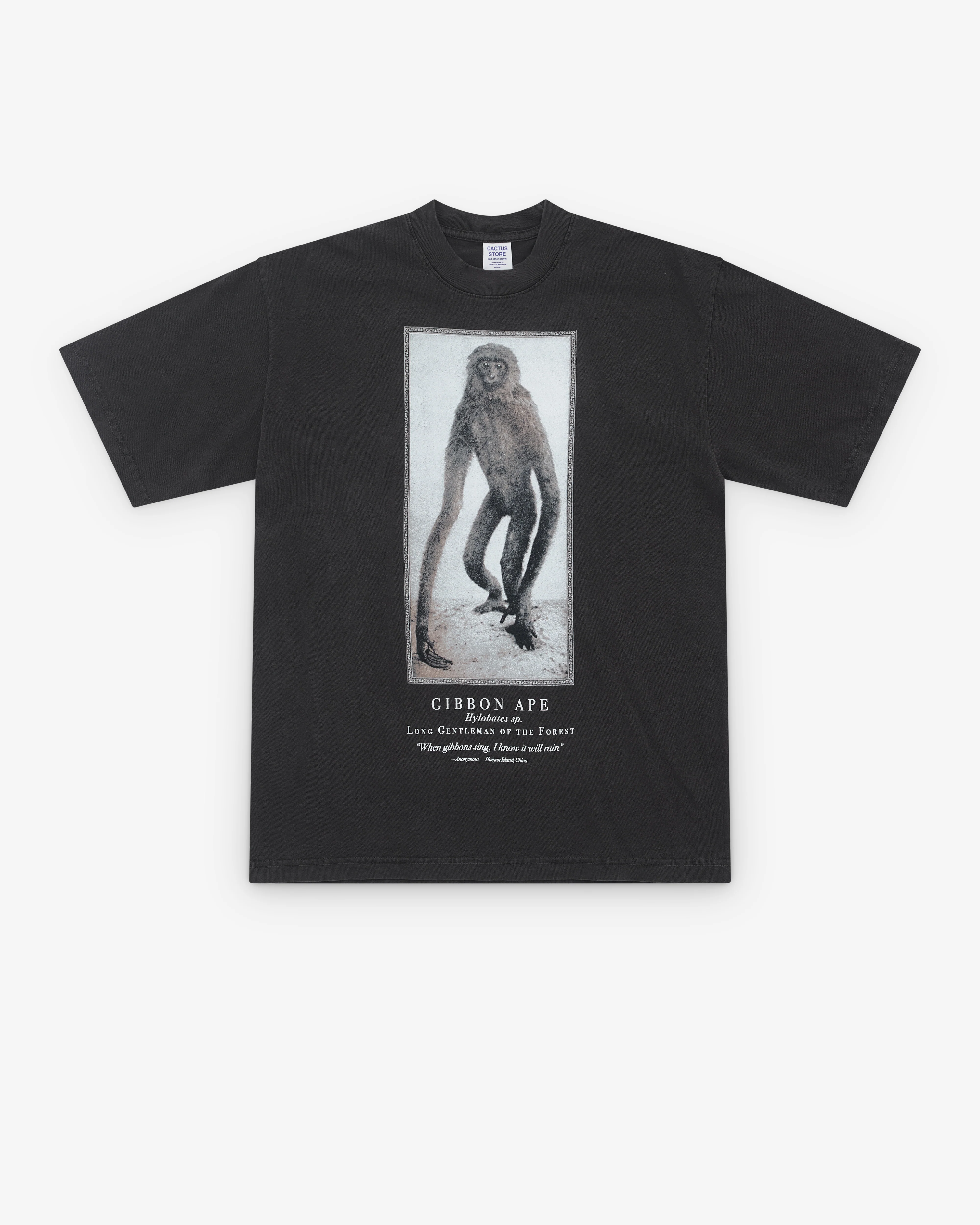 Cactus Store - Men’s When Gibbons Sing T-Shirt - (Black)