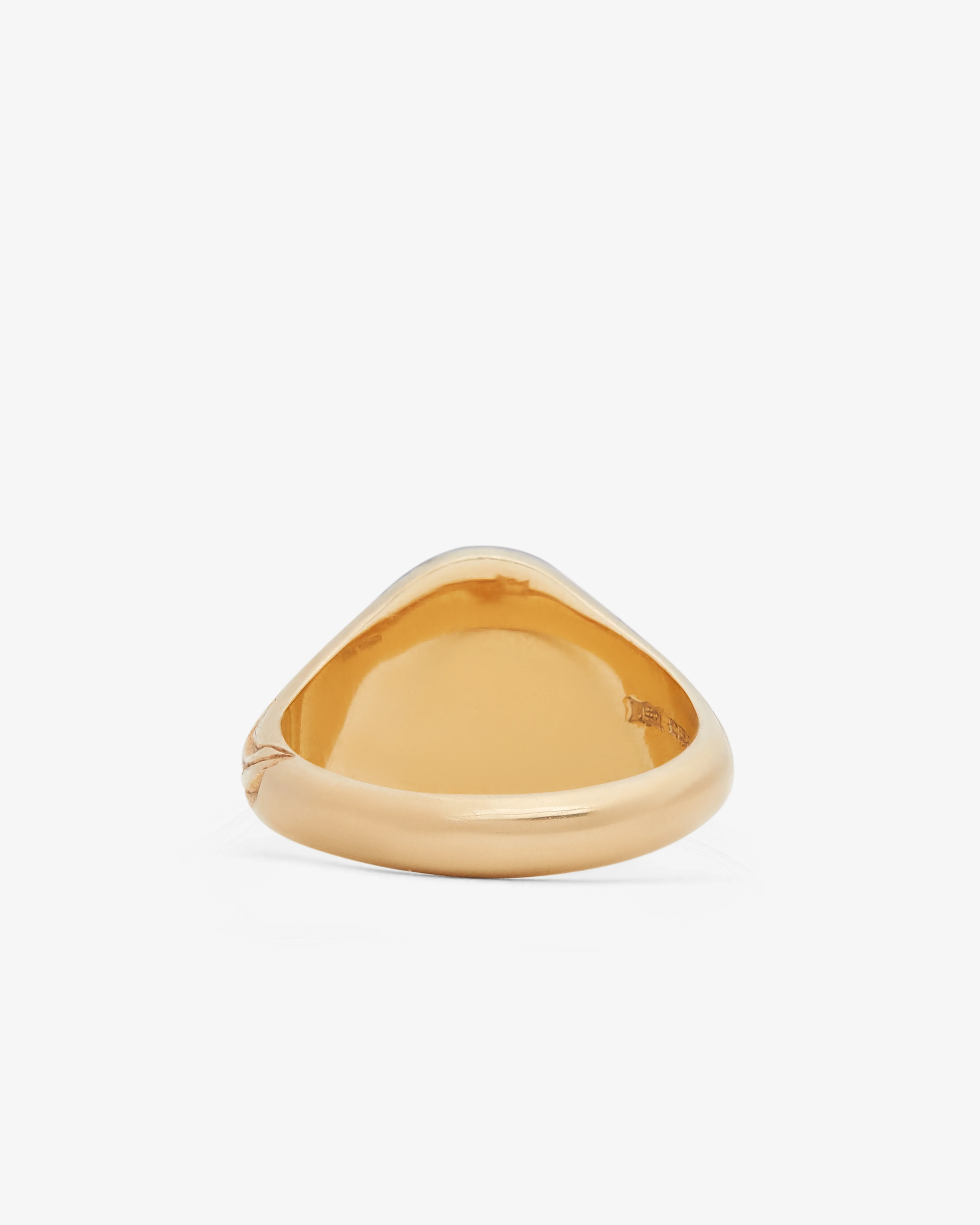 Castro - Hummingbird Signet - (Yellow Gold) - Image 3