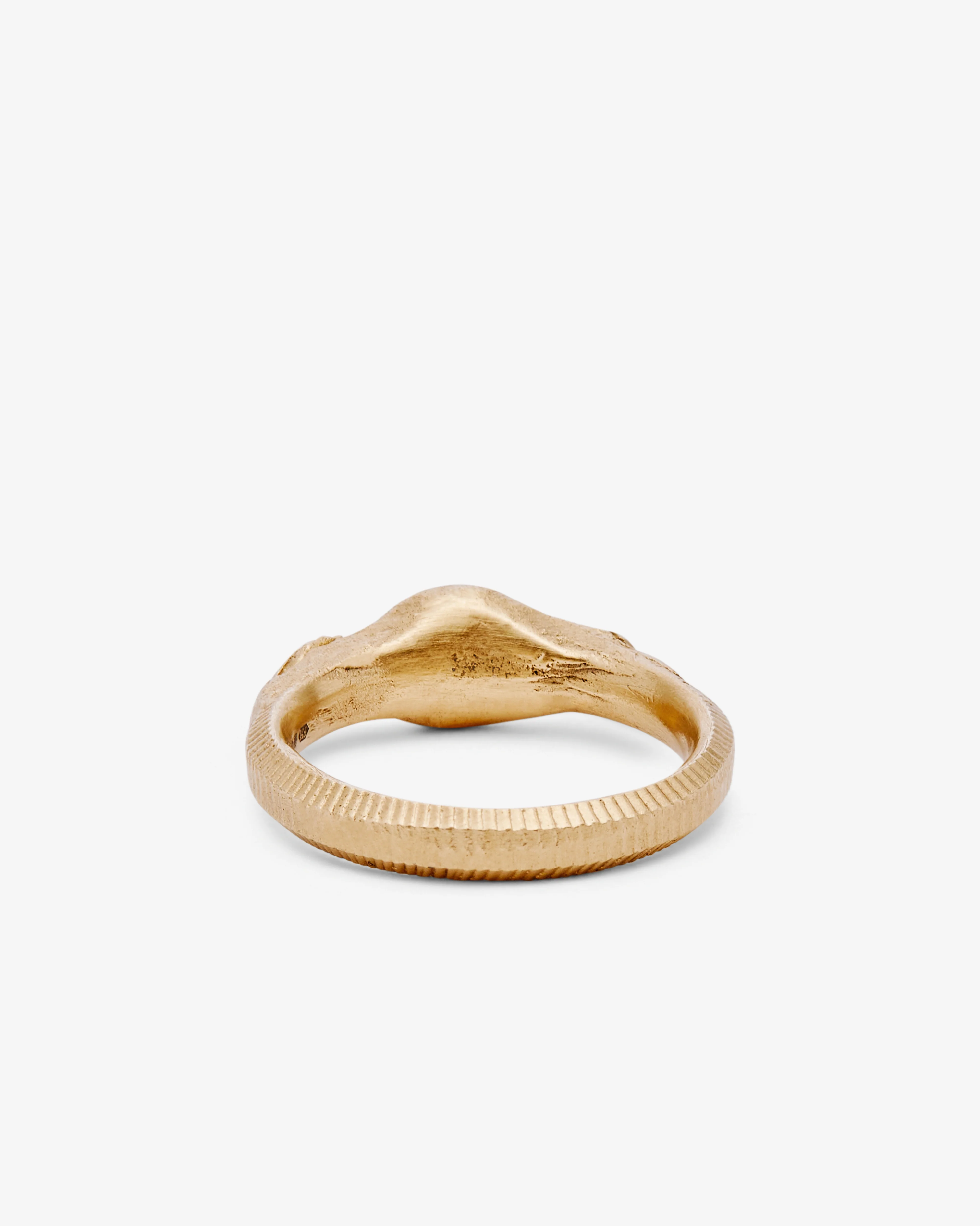 Fraser Hamilton - Found Ring - (Yellow Gold) - Image 3