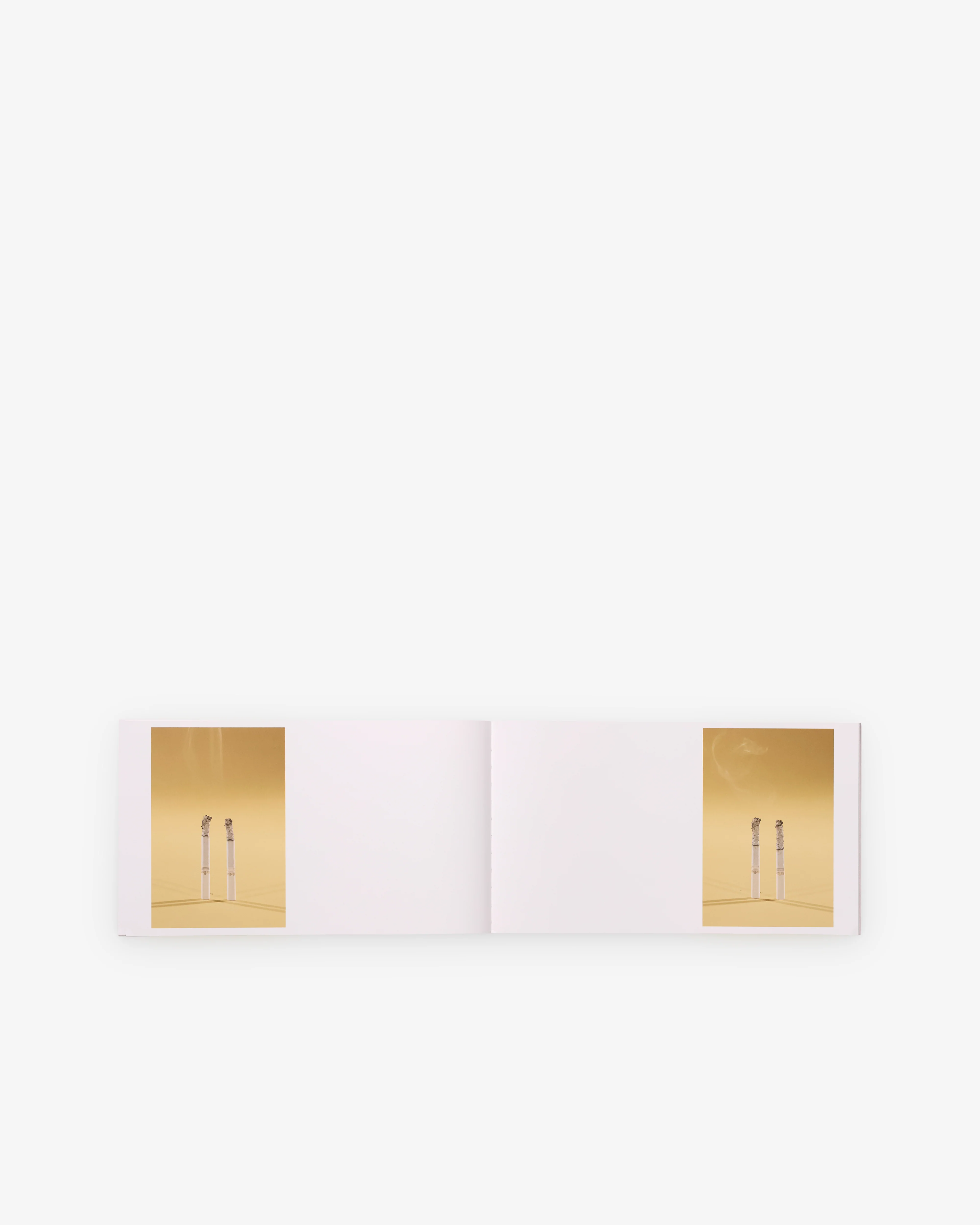 Friend Editions - The Last American Pastoral by Chris Glickman - Image 3