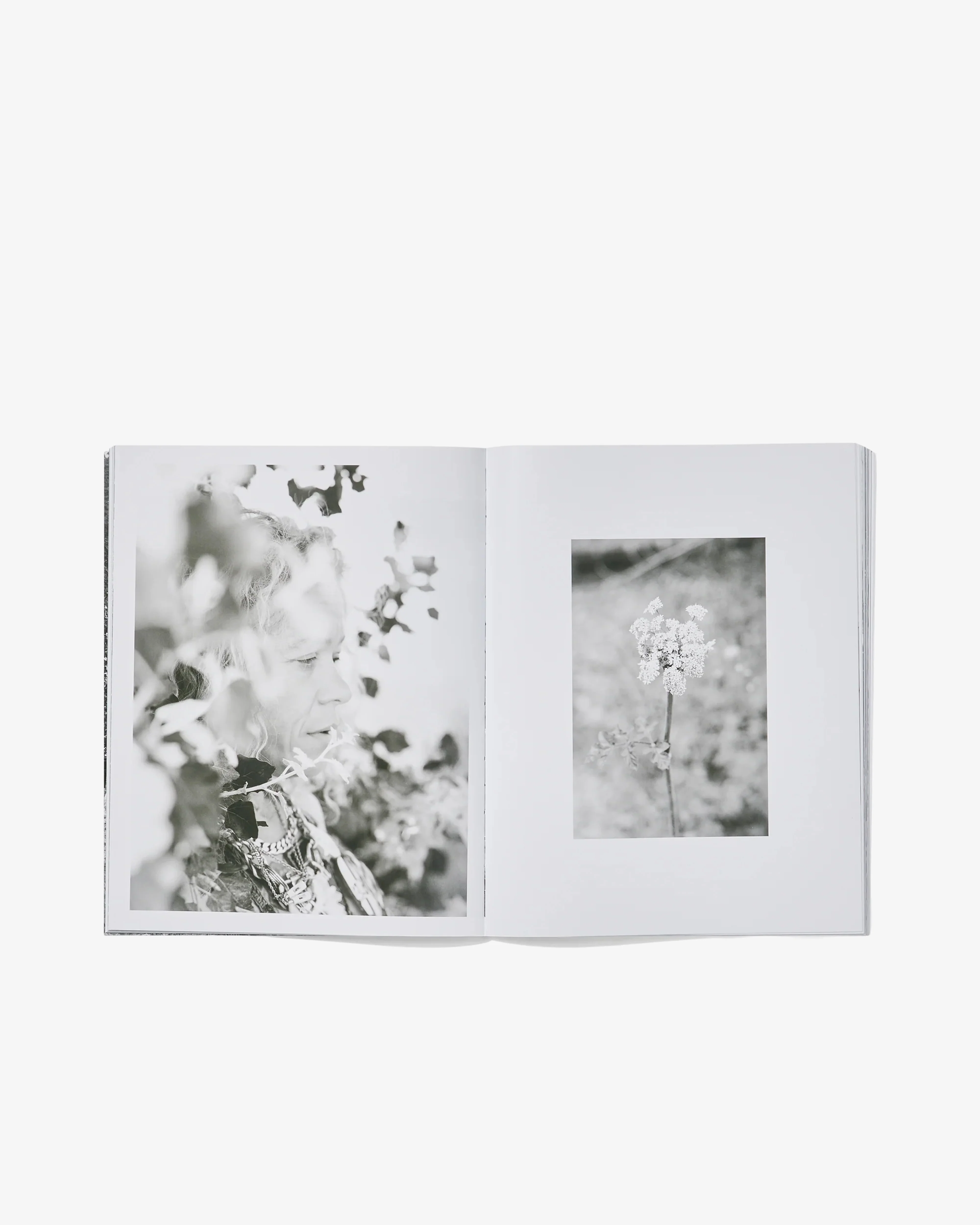 Idea Books - Tara By Zoë Law - Image 3