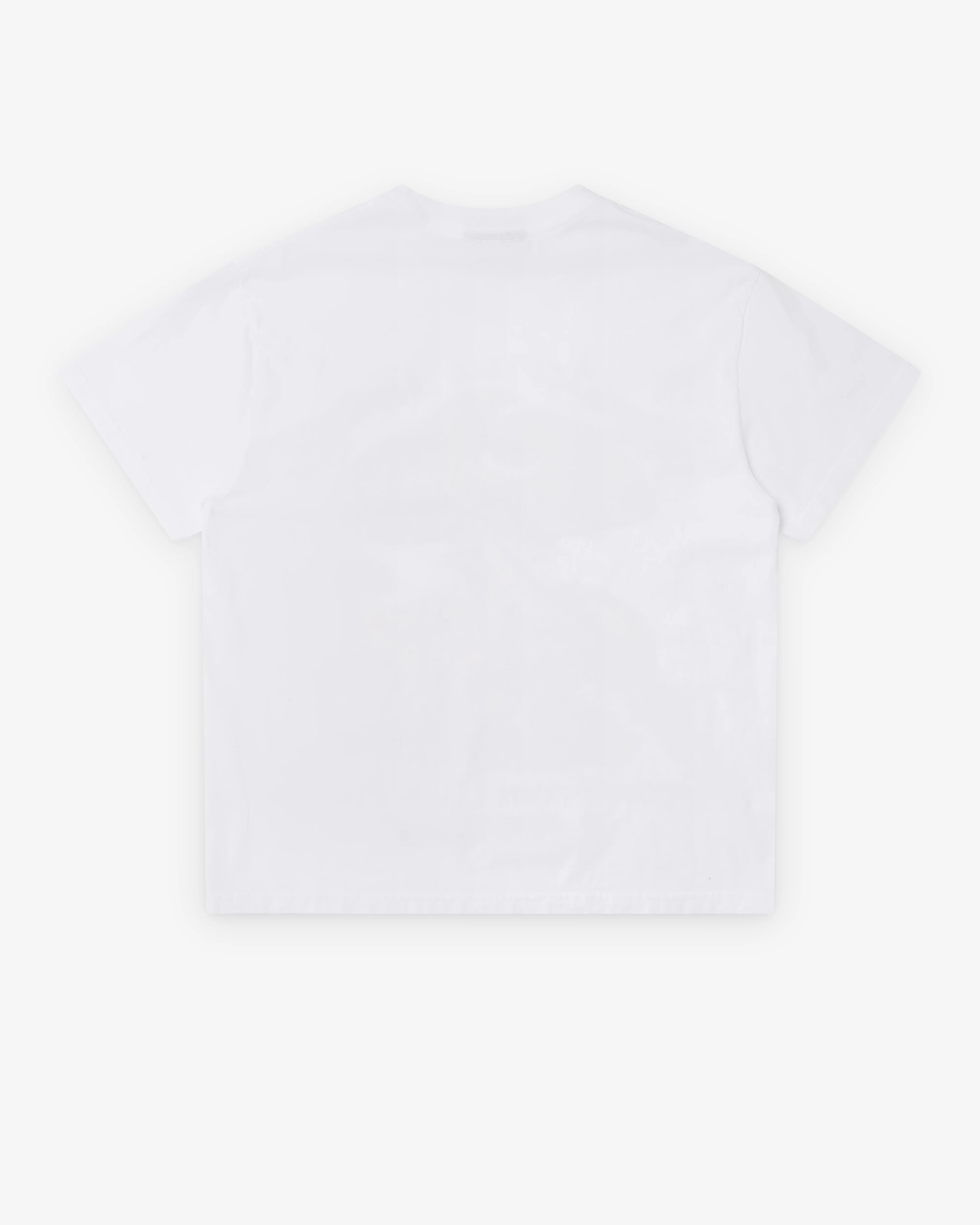 Online Ceramics - Men's Saprotropic Mushrooms T-Shirt - (White) - Image 2